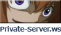 Private Server WS